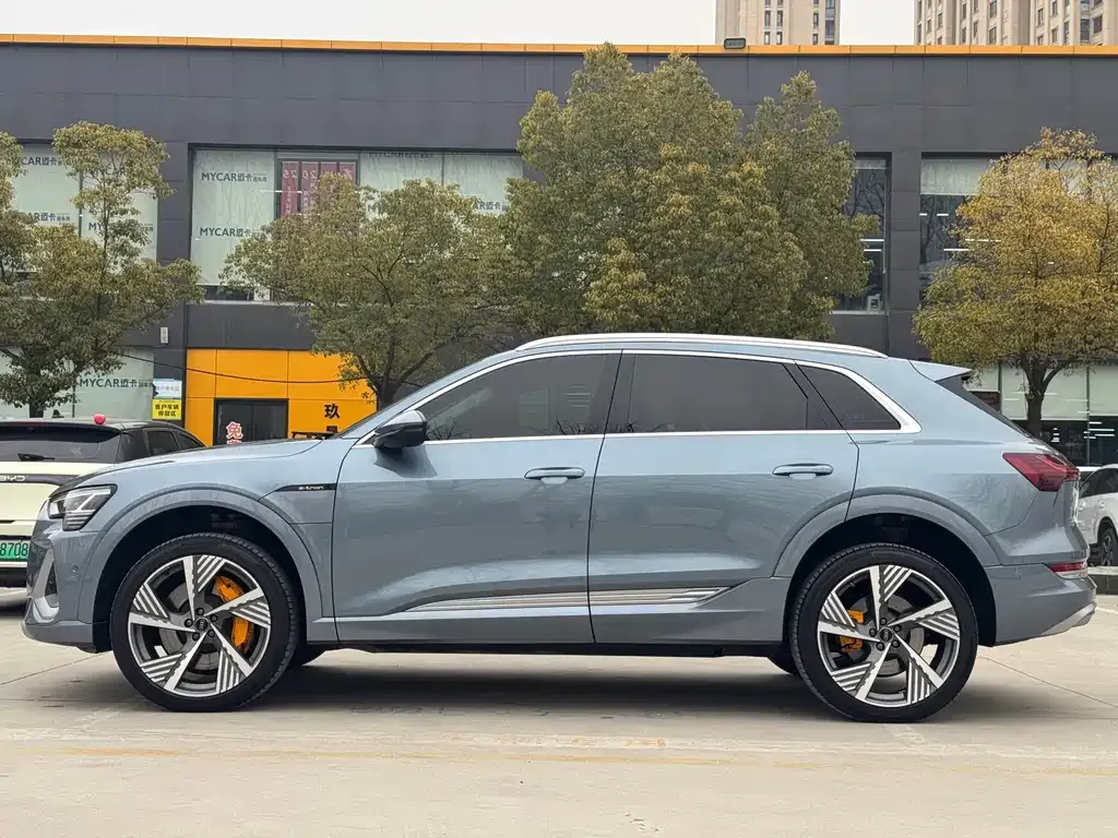Audi e-tron 2021 из CN, фото 8