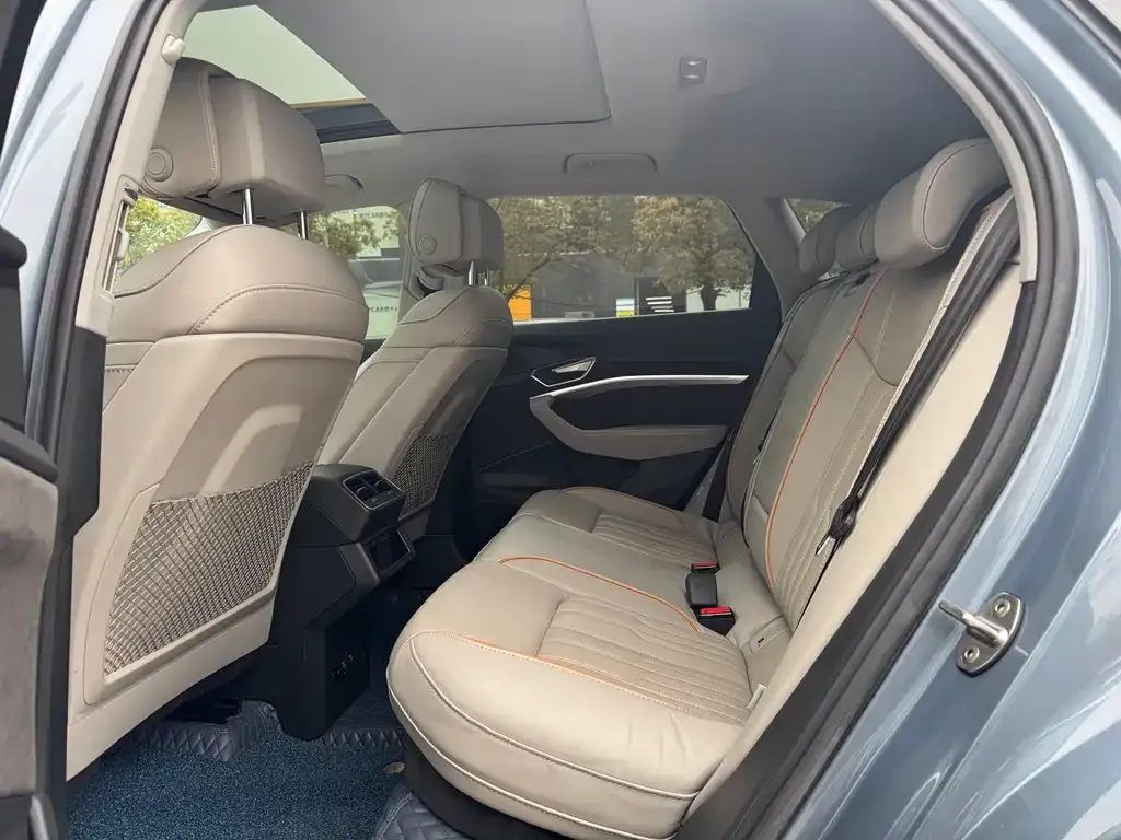 Audi e-tron 2021 из CN, фото 5