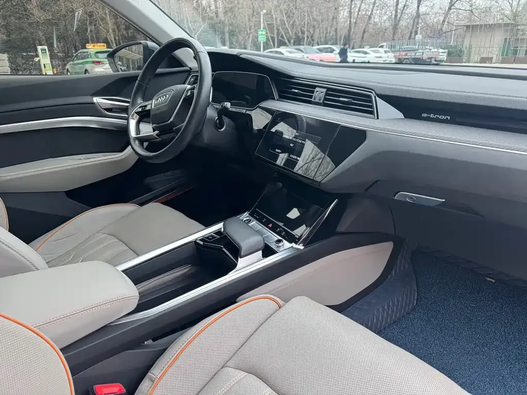 Audi e-tron 2021 из CN, фото 10