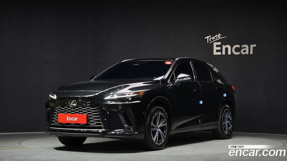 Lexus RX 2025 из KR, фото 1