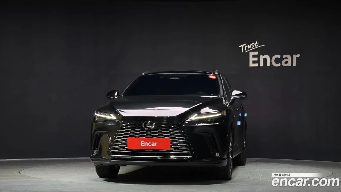 Lexus RX 2025 из KR, фото 3