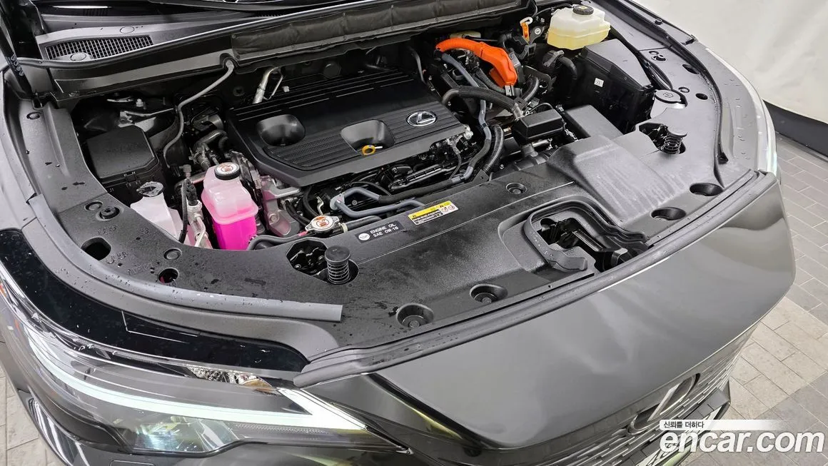 Lexus RX 2025 из KR, фото 6