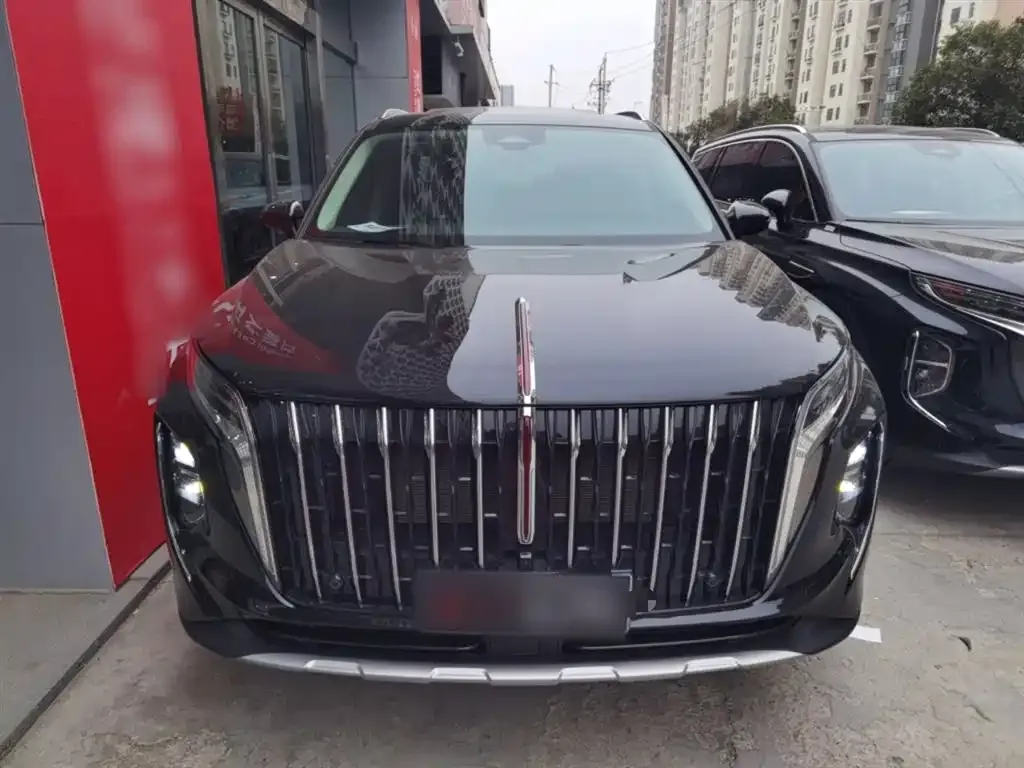 Hongqi HS7 PHEV 2024 из CN, фото 10