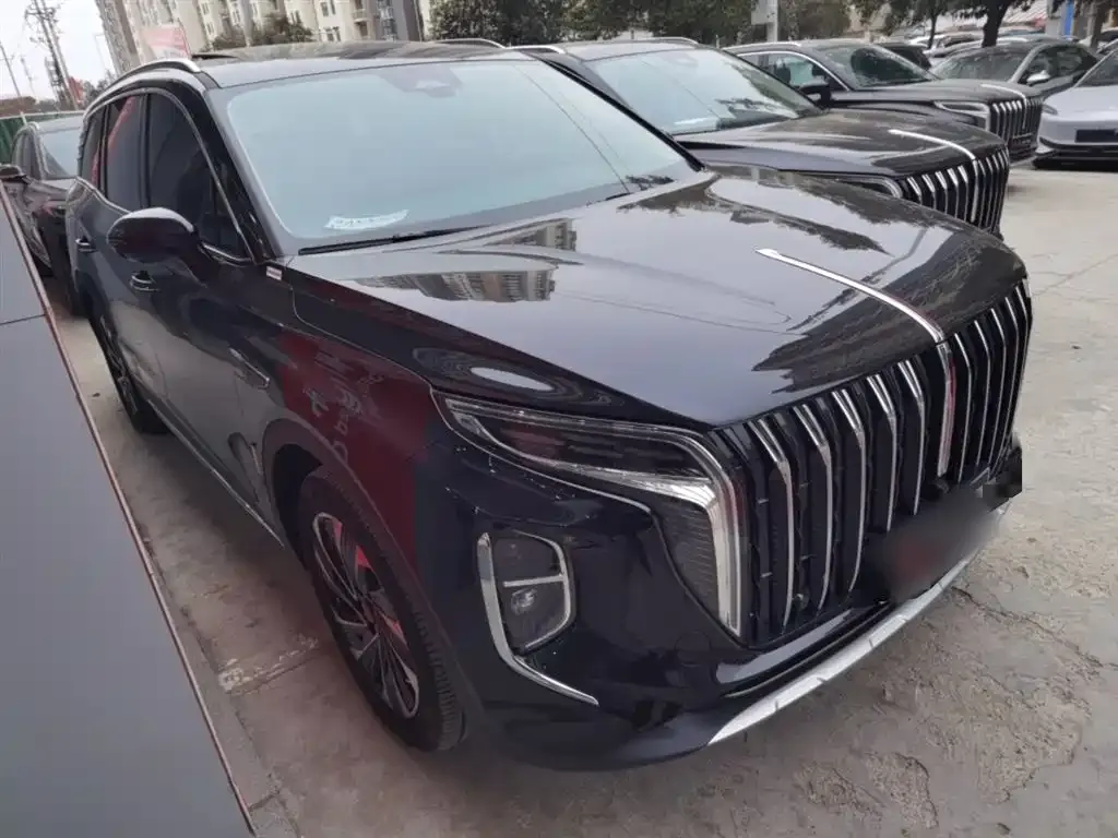 Hongqi HS7 PHEV 2024 из CN, фото 8