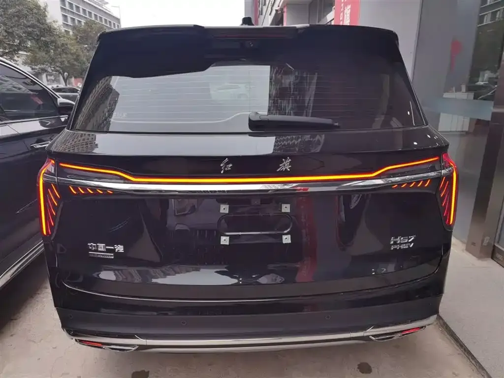 Hongqi HS7 PHEV 2024 из CN, фото 9