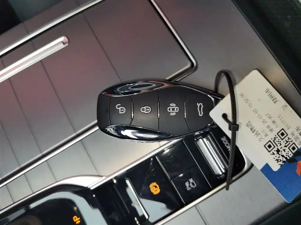 Hongqi HS7 PHEV 2024 из CN, фото 4