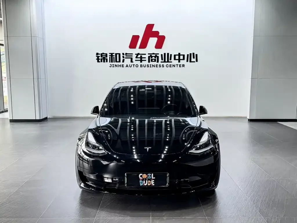 Tesla Model 3 2021 из CN, фото 9