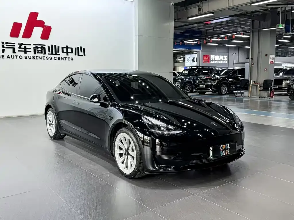 Tesla Model 3 2021 из CN, фото 3