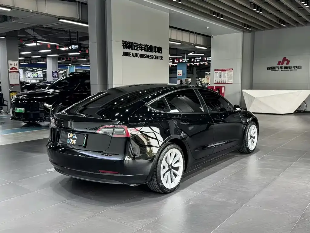 Tesla Model 3 2021 из CN, фото 5