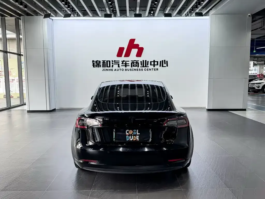 Tesla Model 3 2021 из CN, фото 2