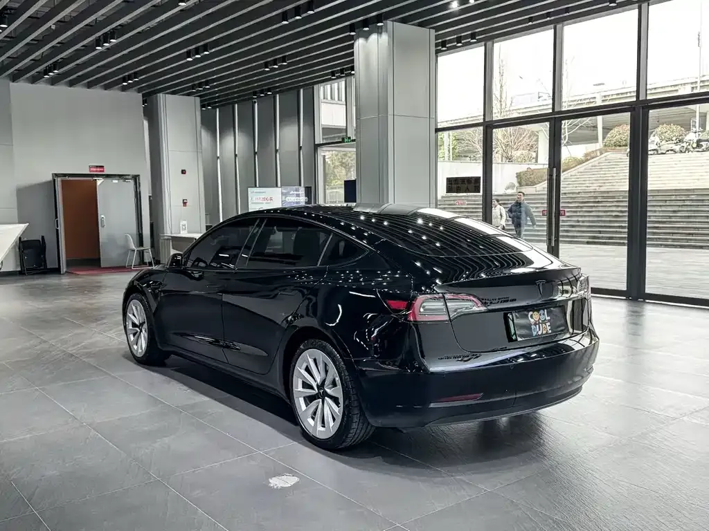 Tesla Model 3 2021 из CN, фото 7