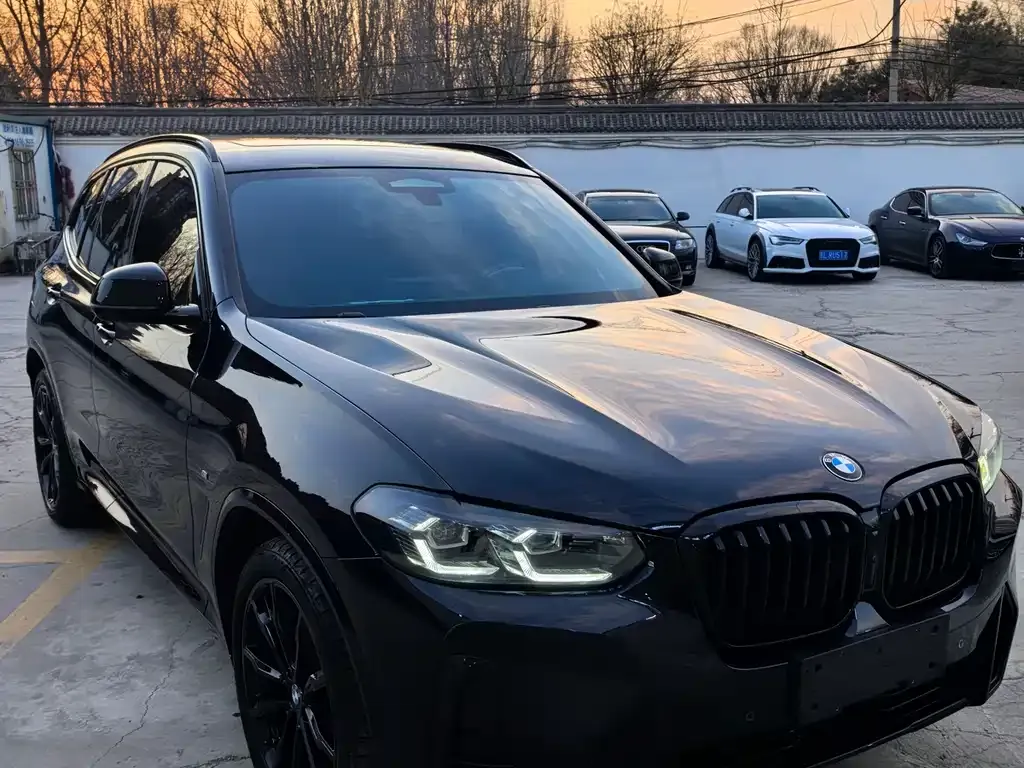 BMW X3 2022 из CN, фото 3