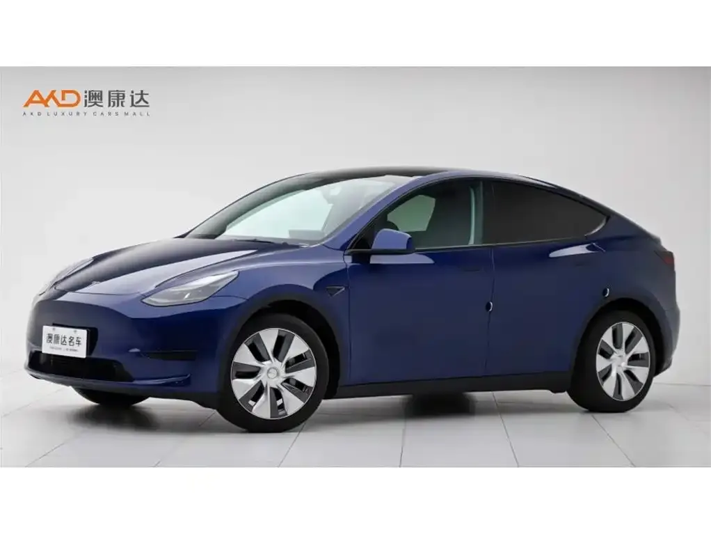 Tesla Model Y 2022 из CN, фото 1