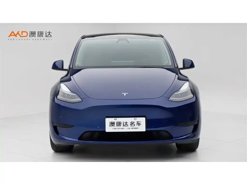 Tesla Model Y 2022 из CN, фото 4