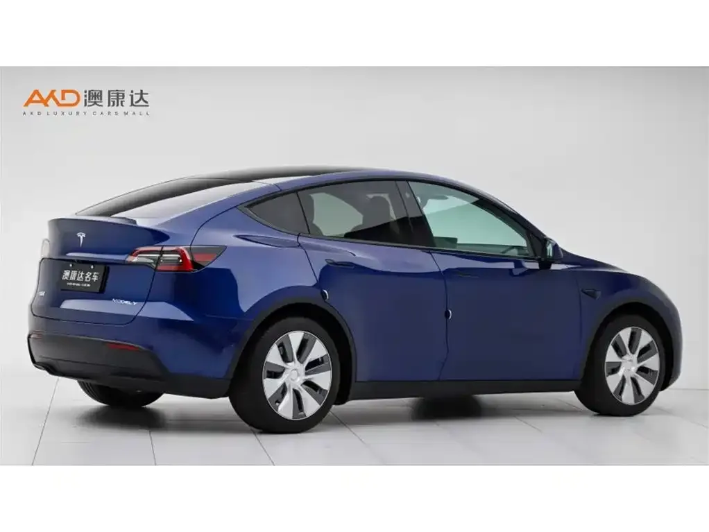 Tesla Model Y 2022 из CN, фото 2