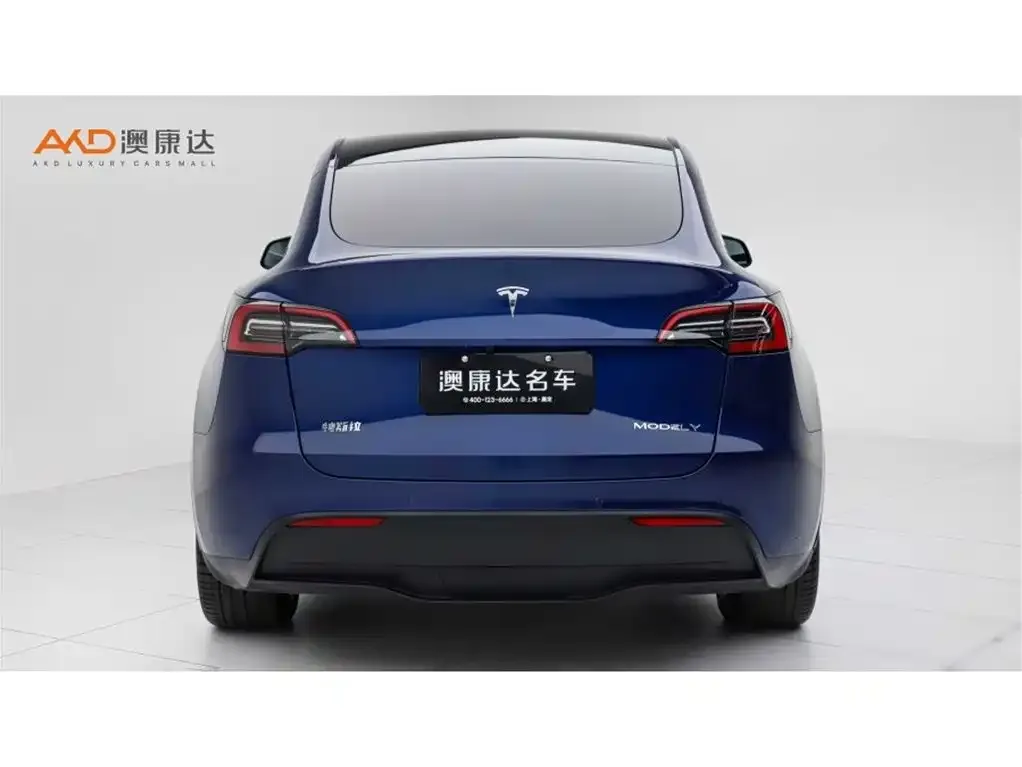 Tesla Model Y 2022 из CN, фото 8