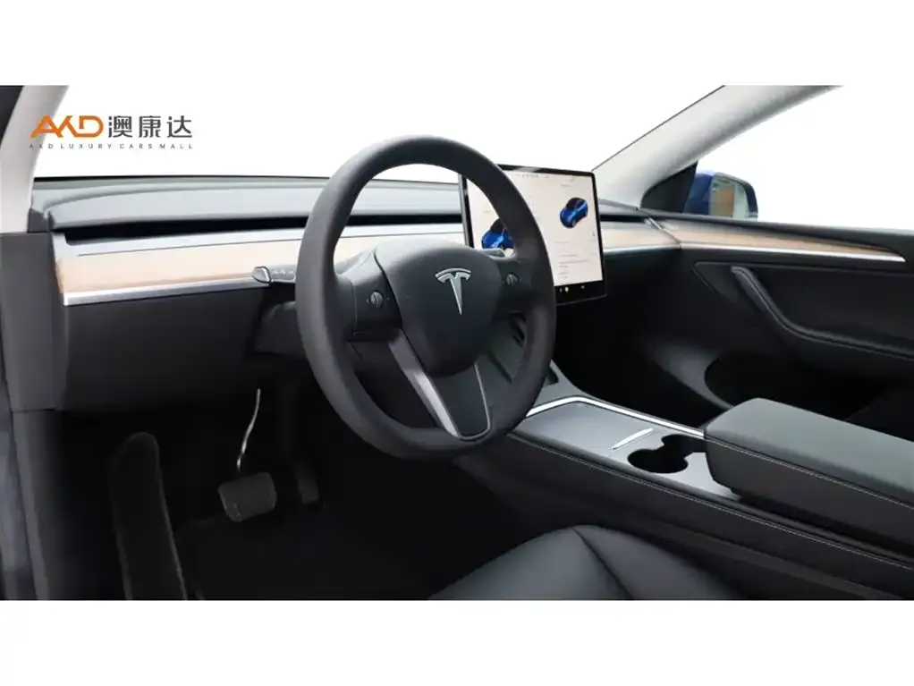 Tesla Model Y 2022 из CN, фото 6