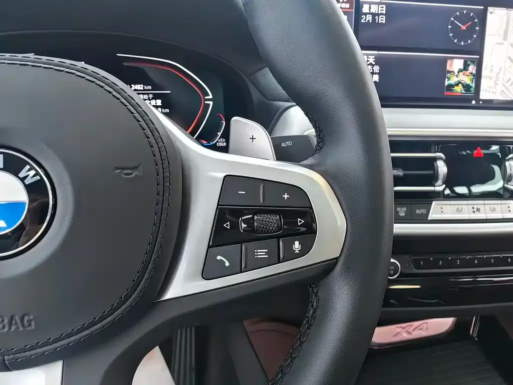 BMW X4 2025 из CN, фото 8