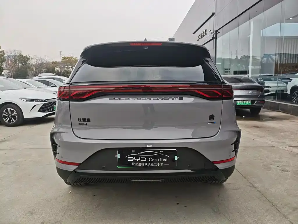 BYD Tang New Energy 2025 из CN, фото 9