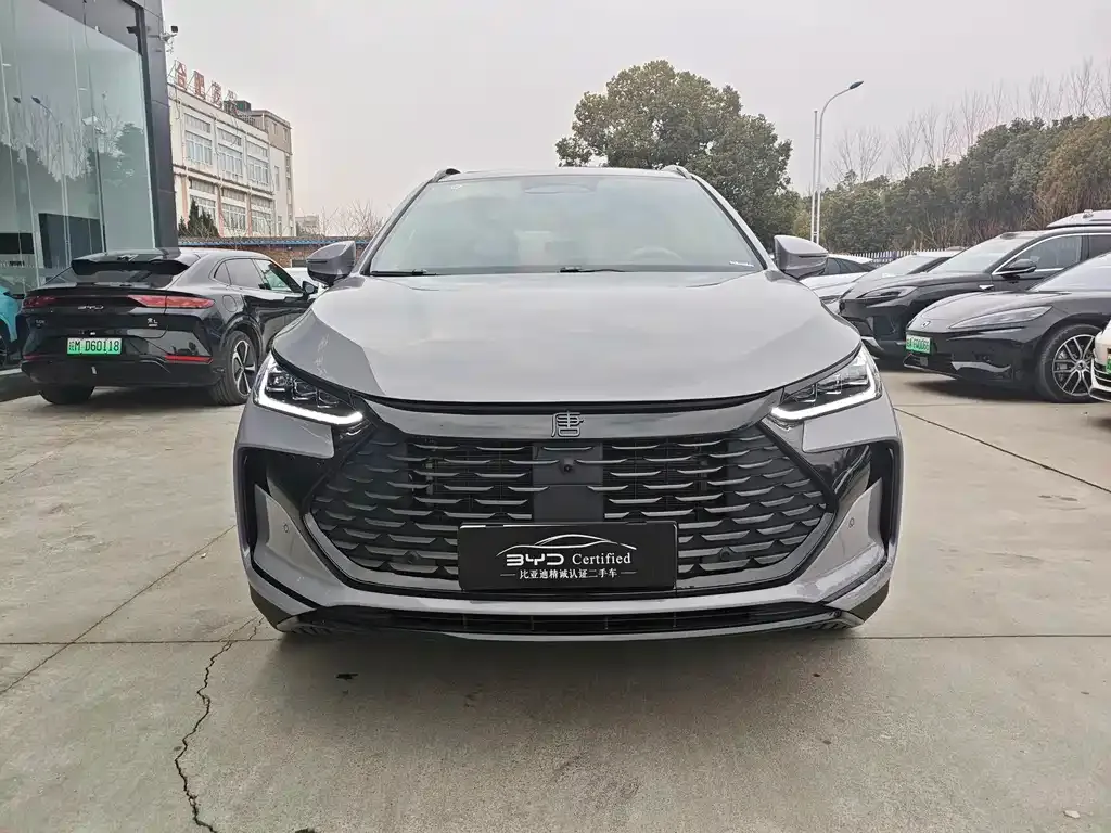 BYD Tang New Energy 2025 из CN, фото 3
