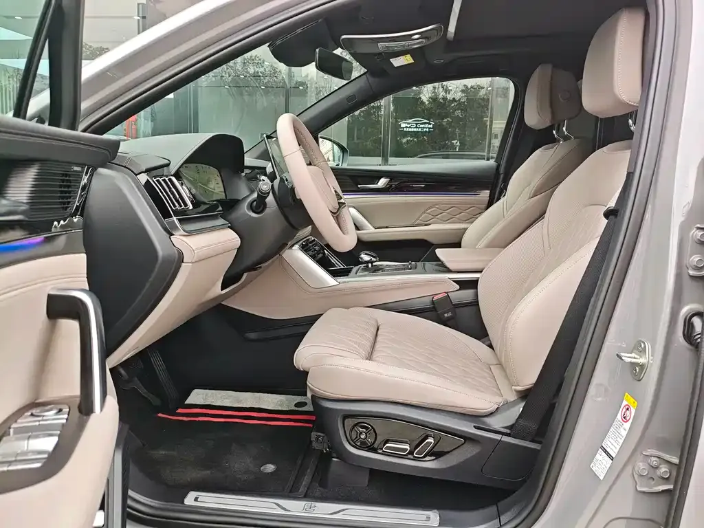 BYD Tang New Energy 2025 из CN, фото 6