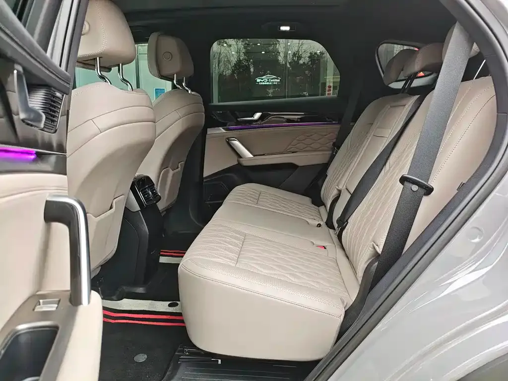 BYD Tang New Energy 2025 из CN, фото 10