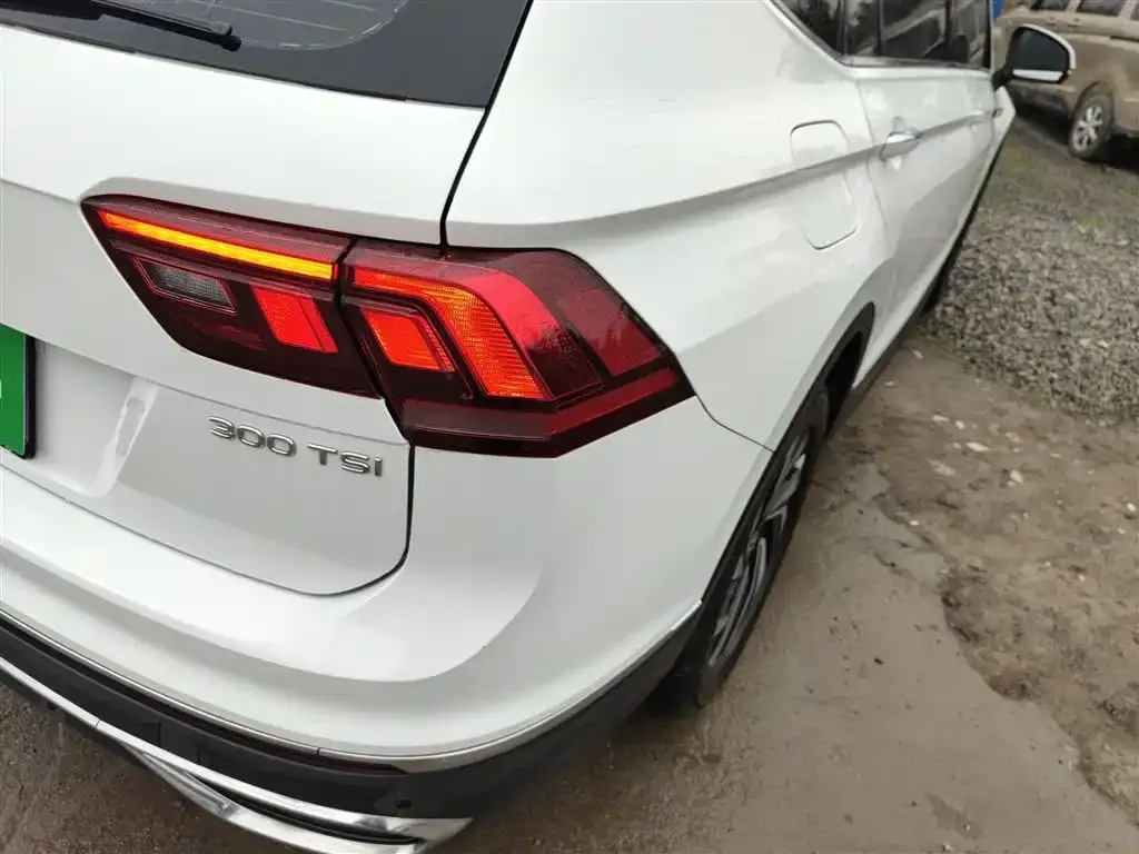 Volkswagen Tiguan L 2023 из CN, фото 6