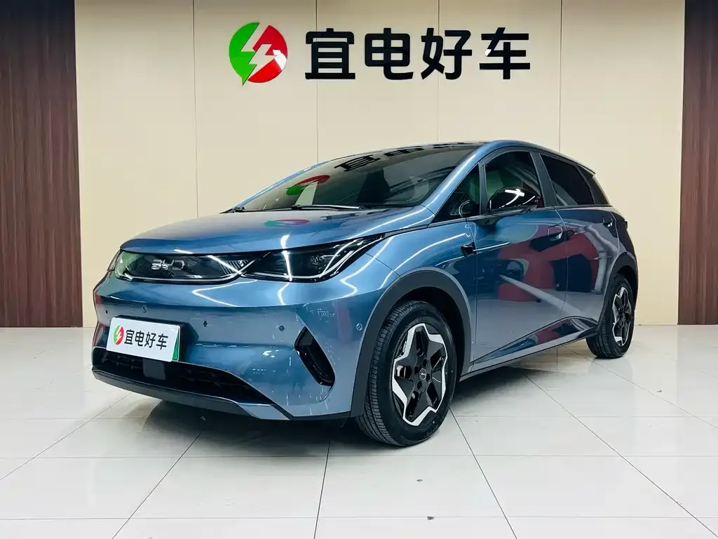 BYD Dolphin 2025 из CN, фото 3