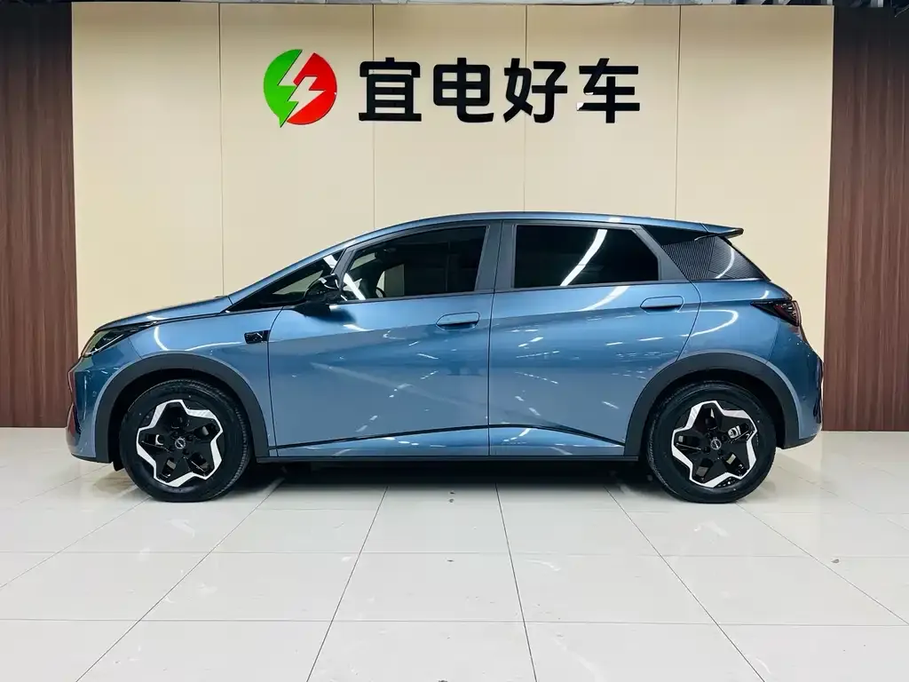 BYD Dolphin 2025 из CN, фото 4