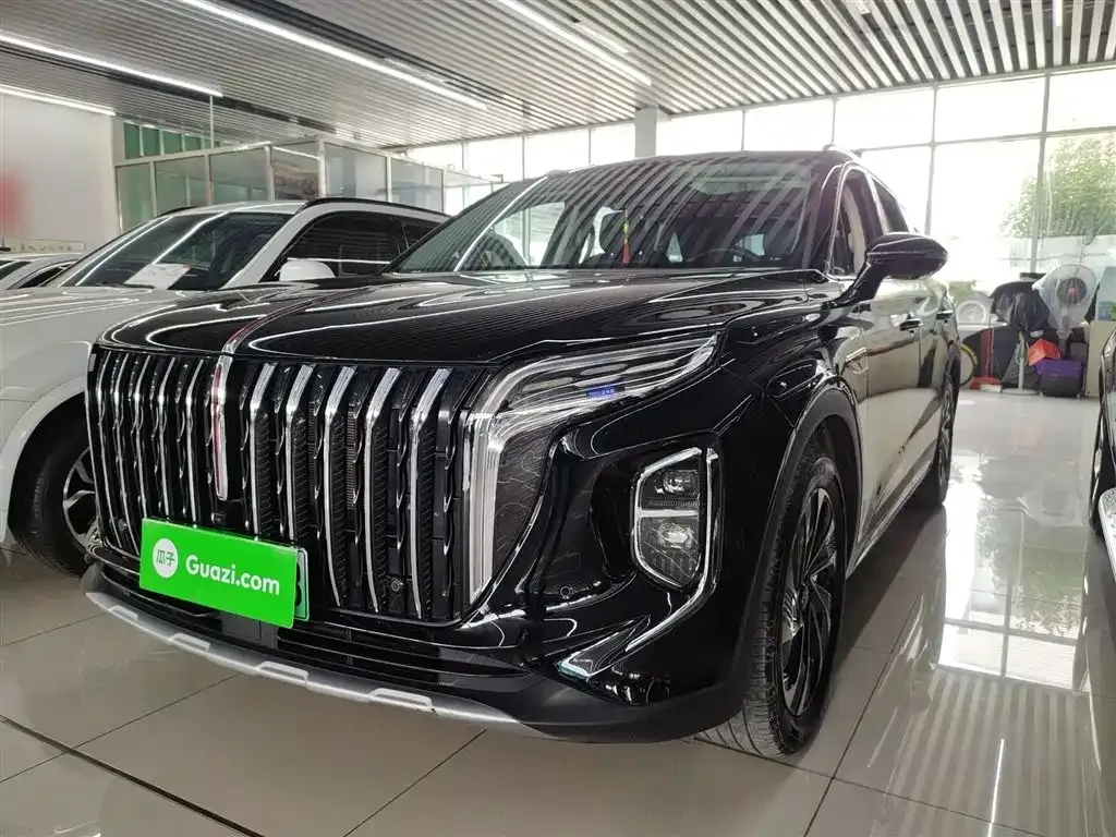 Hongqi HS7 PHEV 2024 из CN, фото 1