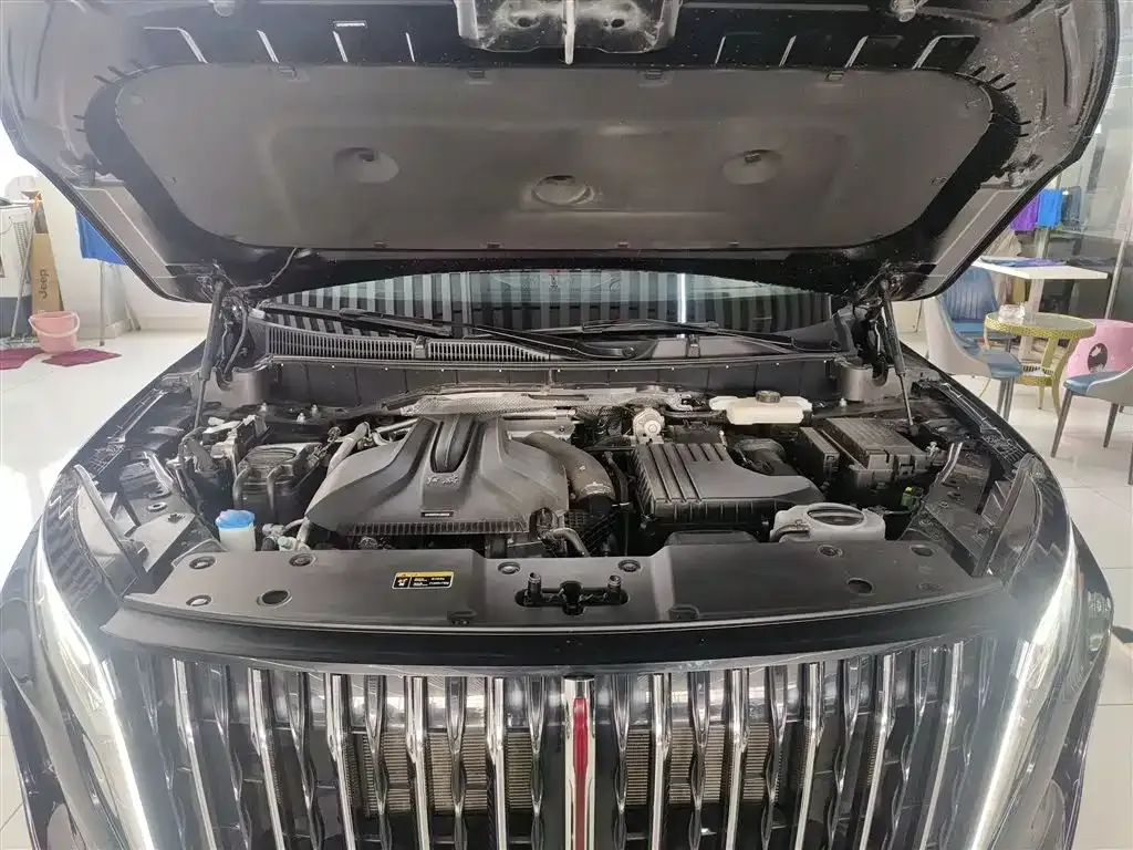 Hongqi HS7 PHEV 2024 из CN, фото 9