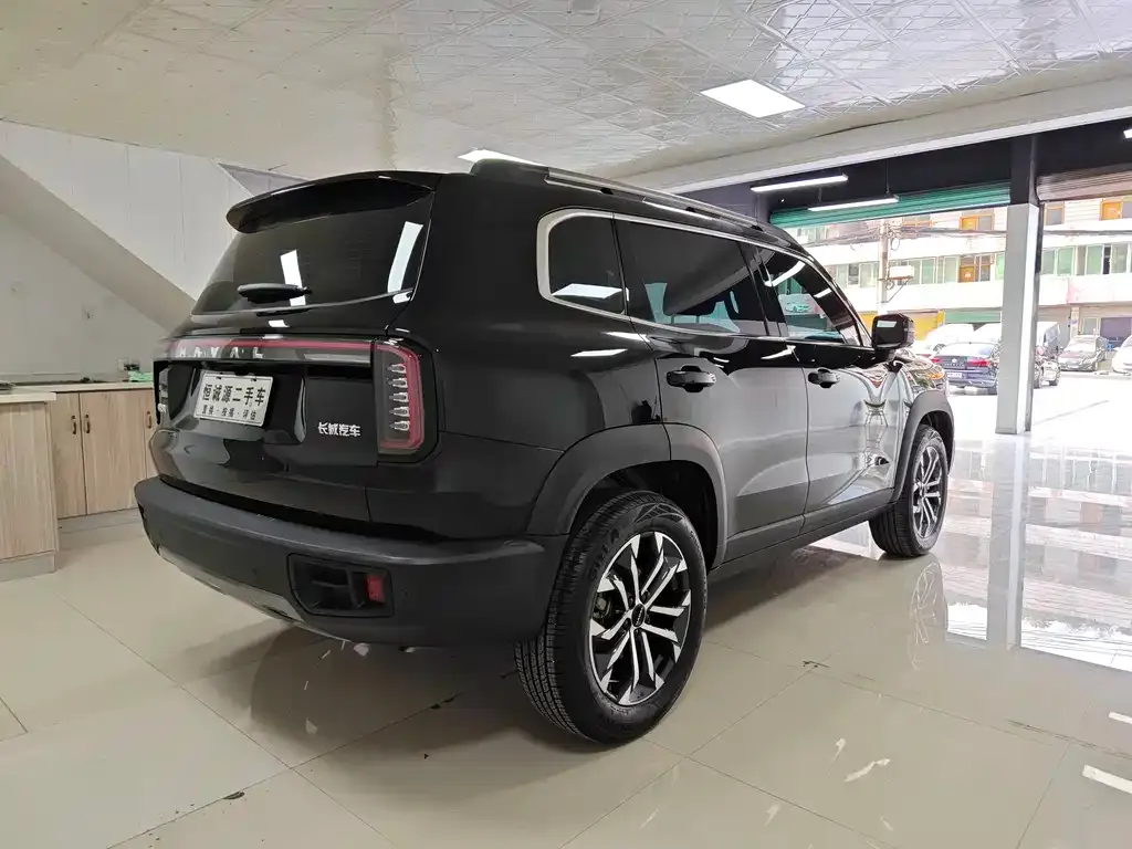 Haval Big Dog 2024 из CN, фото 8