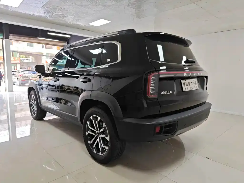 Haval Big Dog 2024 из CN, фото 3