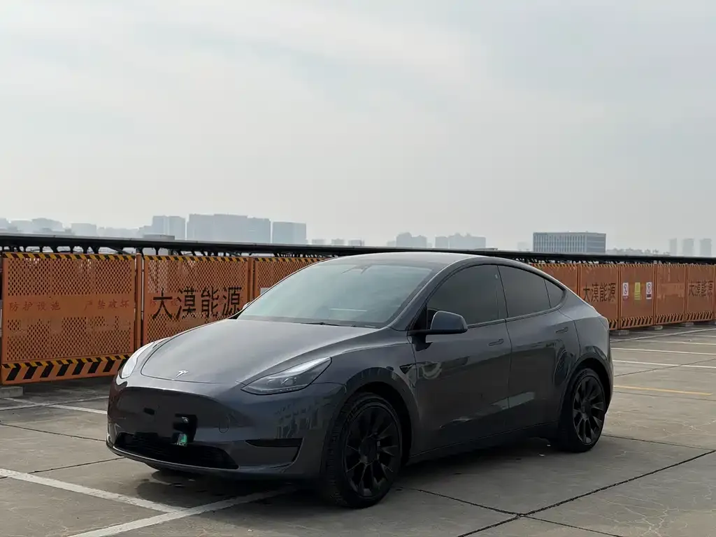 Tesla Model Y 2023 из CN, фото 1
