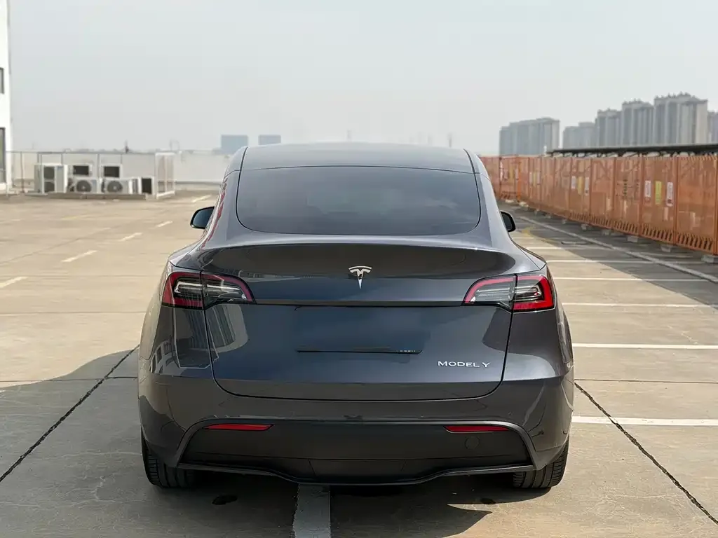 Tesla Model Y 2023 из CN, фото 3