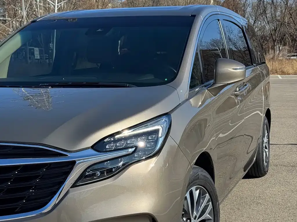 Buick GL8 2021 из CN, фото 5