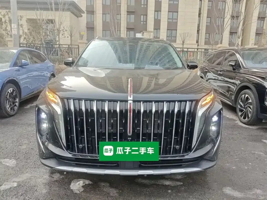 Hongqi HS7 PHEV 2024 из CN, фото 9