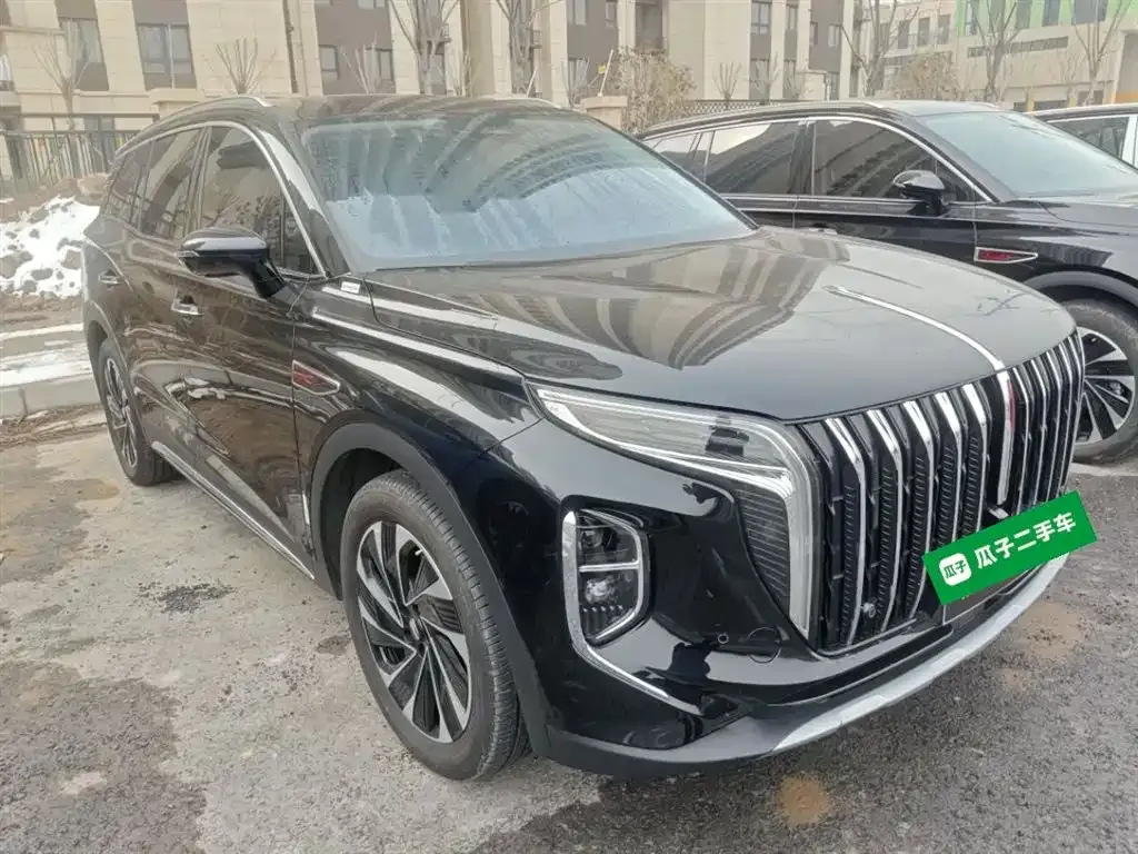 Hongqi HS7 PHEV 2024 из CN, фото 7