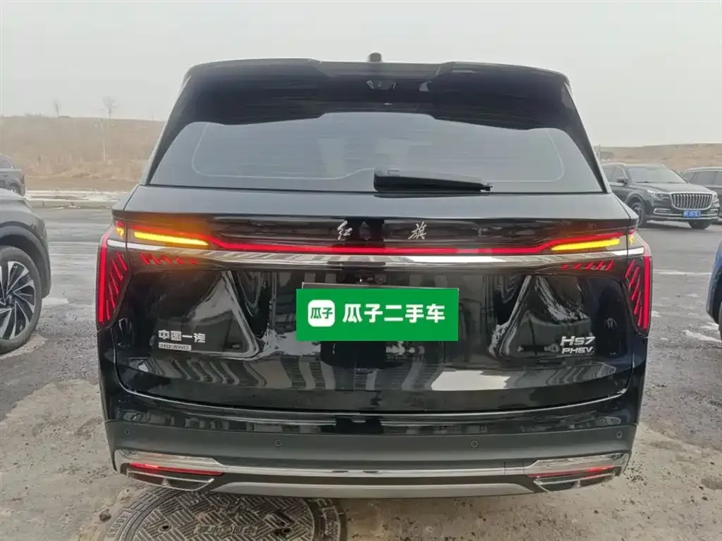 Hongqi HS7 PHEV 2024 из CN, фото 4