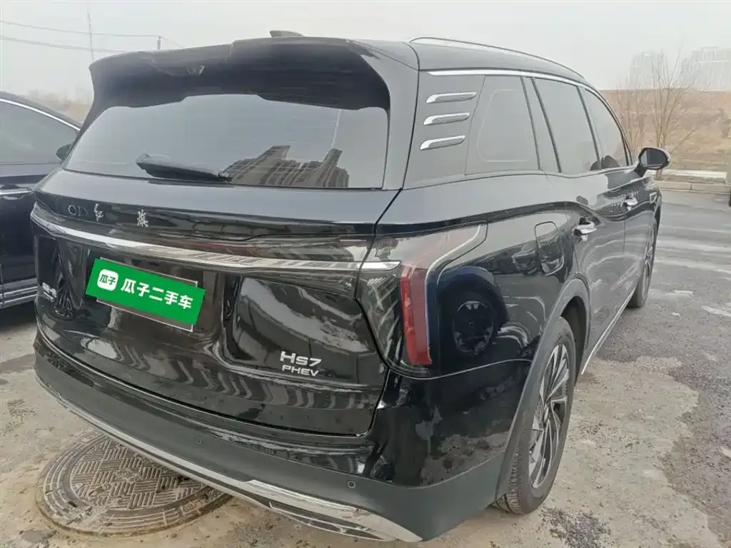 Hongqi HS7 PHEV 2024 из CN, фото 5