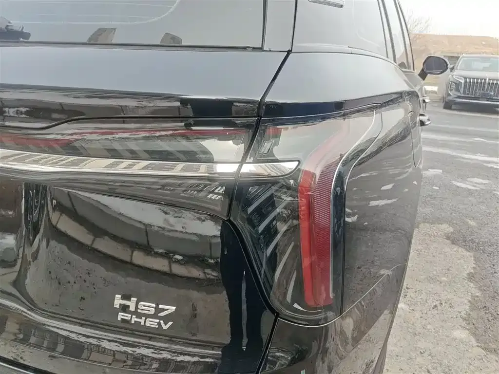Hongqi HS7 PHEV 2024 из CN, фото 10