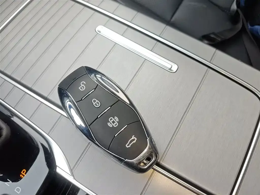 Hongqi HS7 PHEV 2024 из CN, фото 2