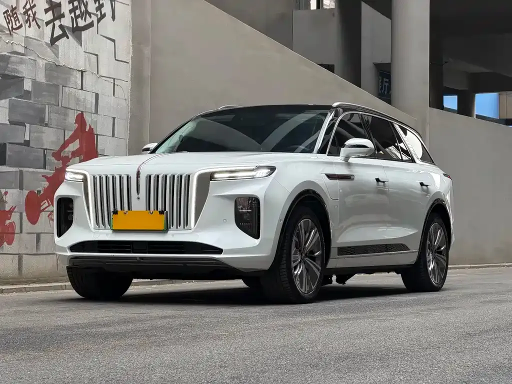 Hongqi E-HS9 2023 из CN, фото 1