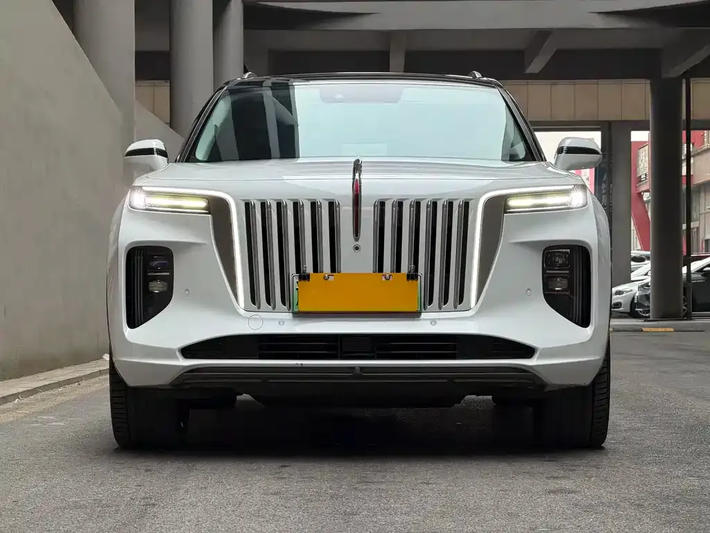 Hongqi E-HS9 2023 из CN, фото 9
