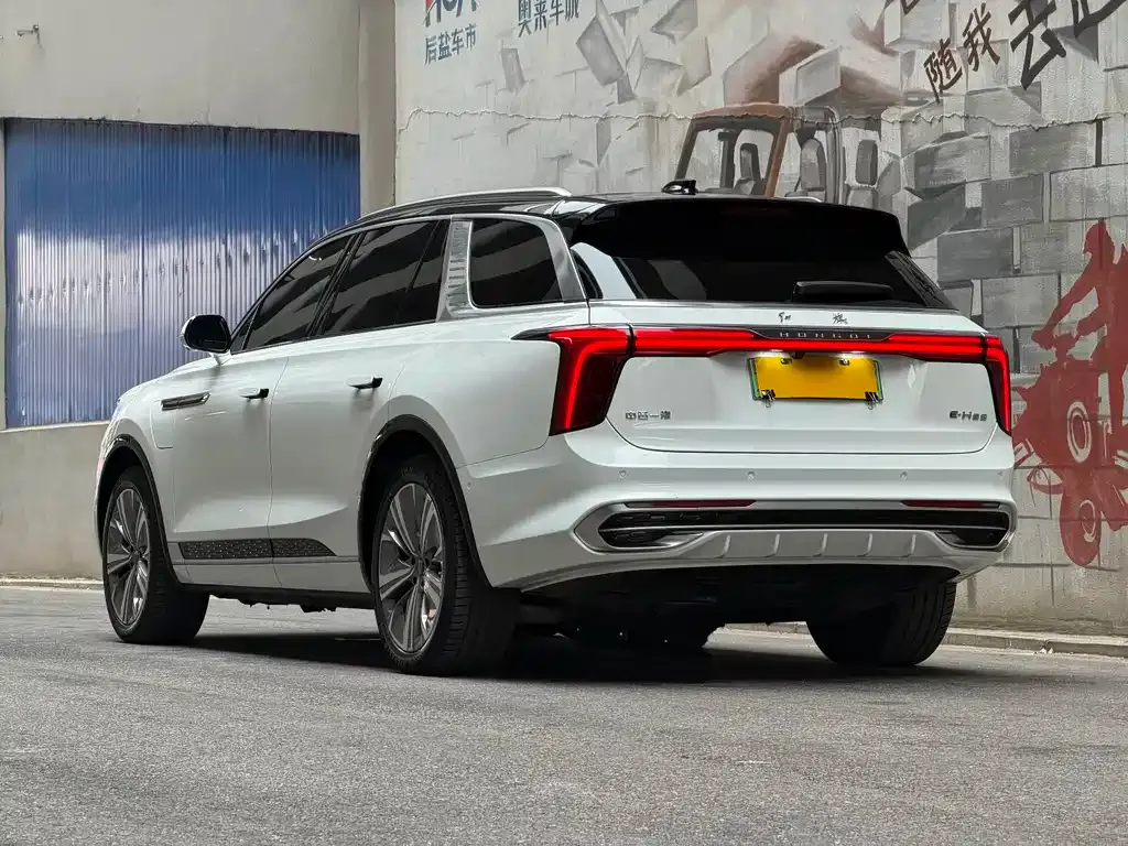 Hongqi E-HS9 2023 из CN, фото 8