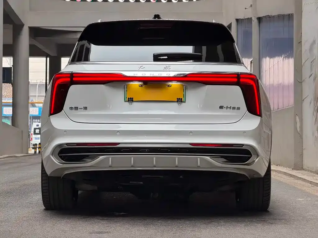 Hongqi E-HS9 2023 из CN, фото 7