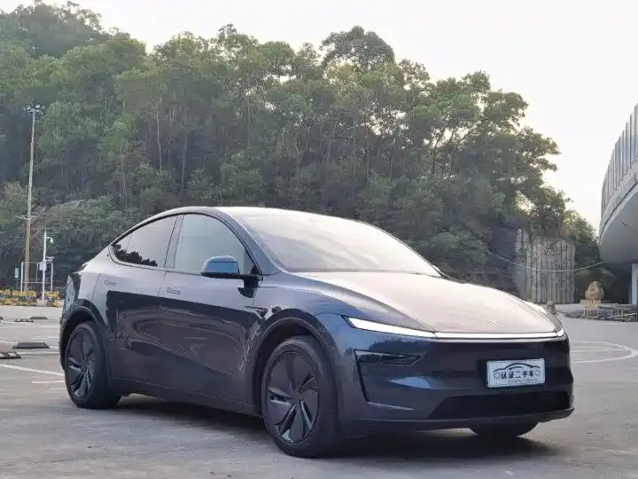 Tesla Model Y — фото 6