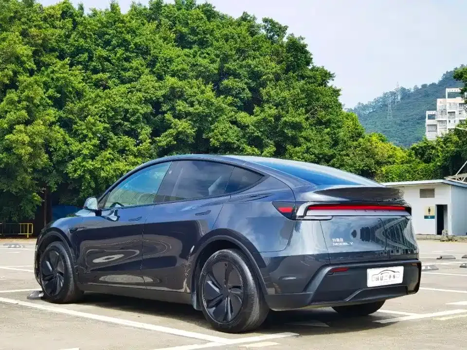 Tesla Model Y — фото 8