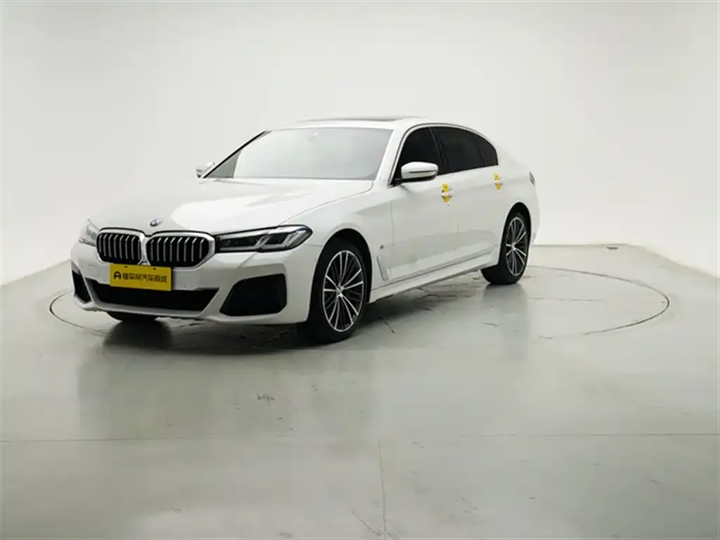 BMW 5 Series 2021 из CN, фото 1
