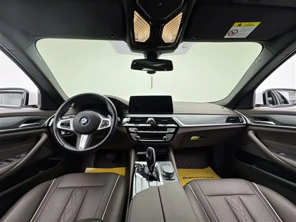 BMW 5 Series 2021 из CN, фото 8